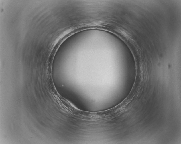 X0000053011308200507291657