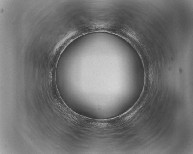 X0000053011309200507291657