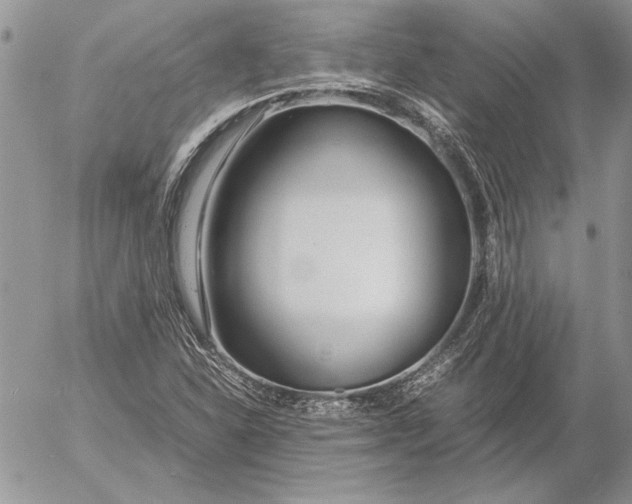 X0000053011310200507291657