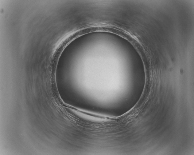 X0000053011311200507291658