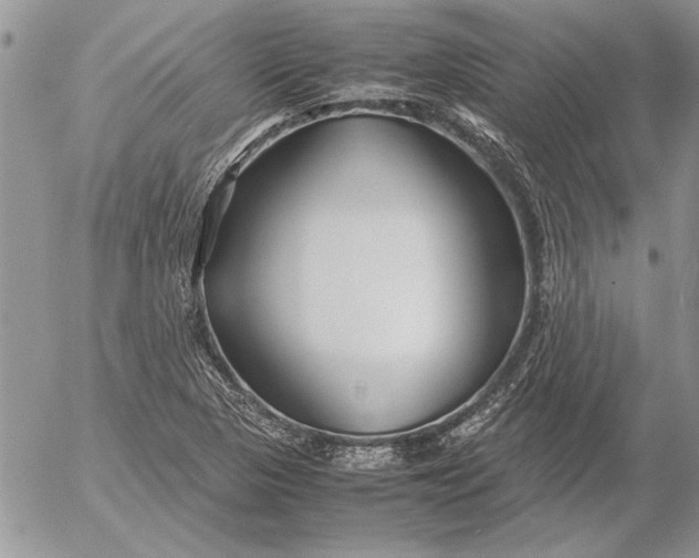 X0000053011313200507291658