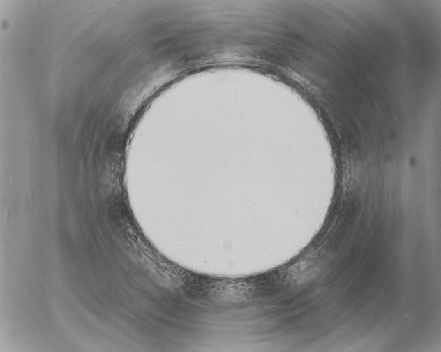 X0000053011314200507291658