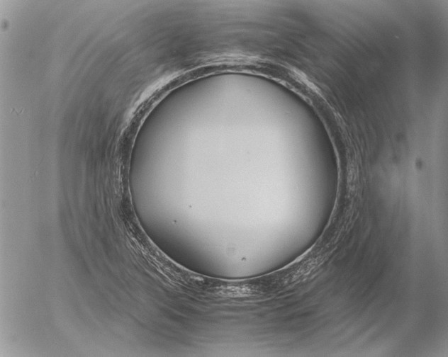 X0000053011315200507291658