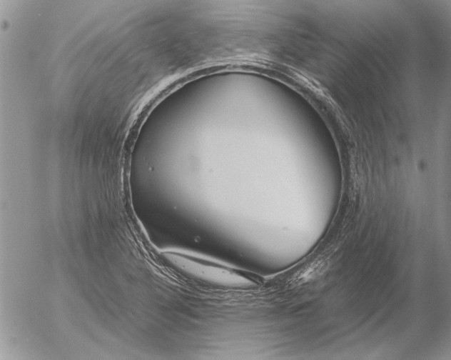 X0000053011316200507291658