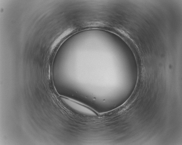 X0000053011317200507291658