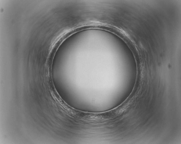 X0000053011318200507291658