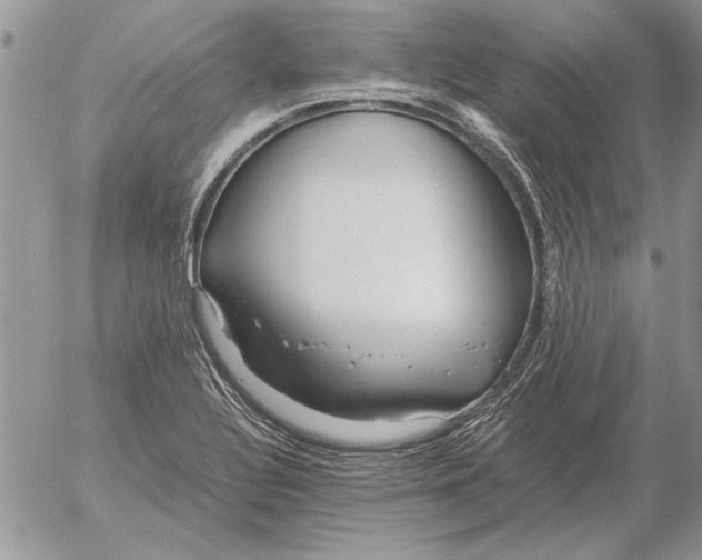 X0000053011320200507291658