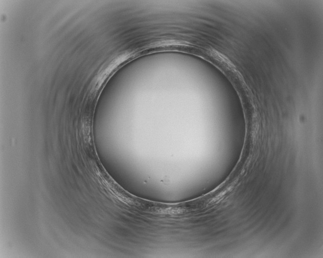 X0000053011321200507291658