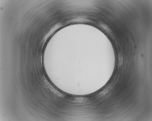 X0000053011322200507291658