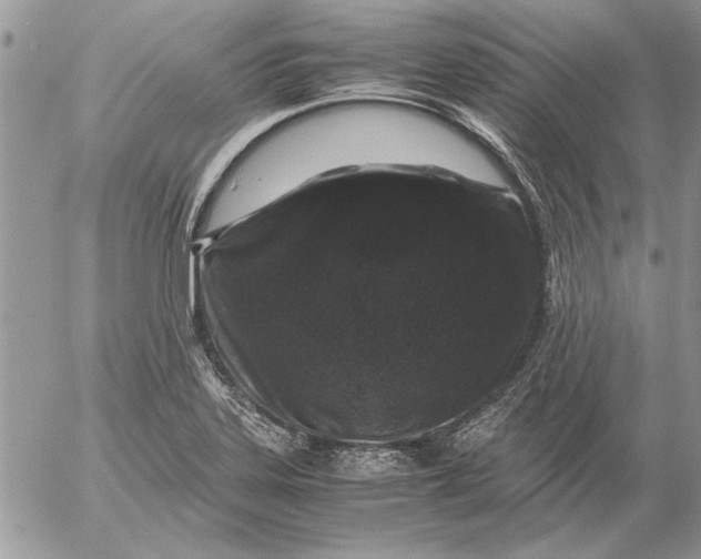 X0000053011323200507291658