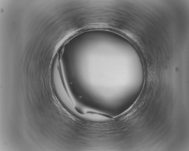 X0000053011325200507291658