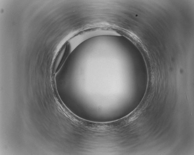 X0000053011326200507291658