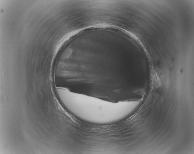 X0000053011327200507291658