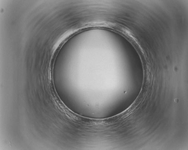 X0000053011328200507291658