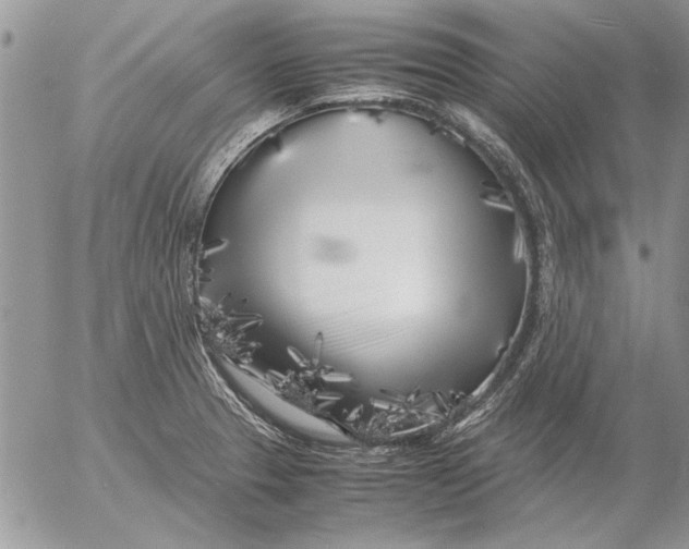 X0000053011329200507291658