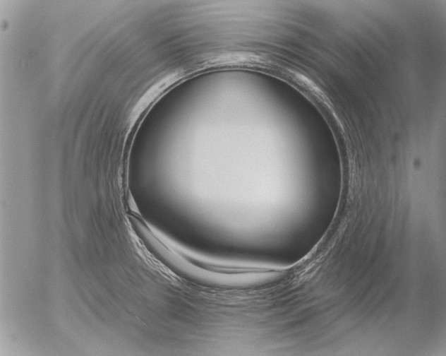 X0000053011330200507291658