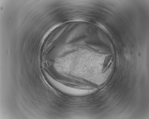 X0000053011331200507291658