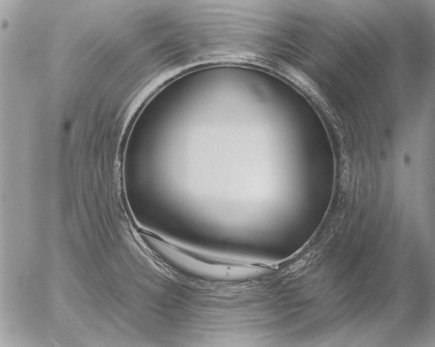 X0000053011332200507291658