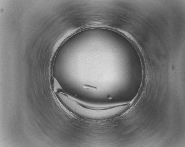 X0000053011333200507291658