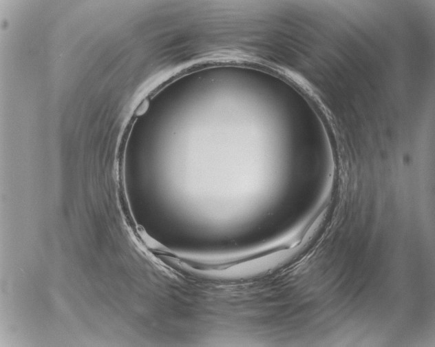 X0000053011335200507291658