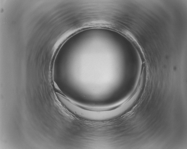 X0000053011336200507291658