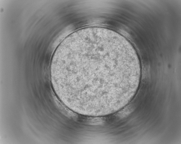 X0000053011338200507291658