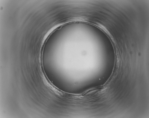 X0000053011339200507291658