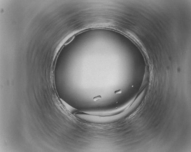 X0000053011340200507291658