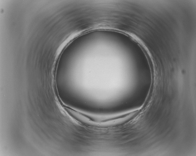 X0000053011341200507291658