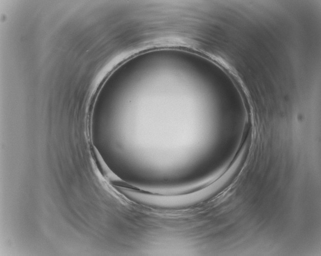 X0000053011342200507291658