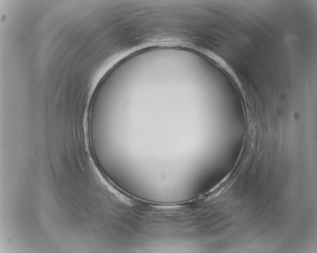 X0000053011343200507291658