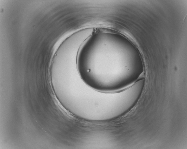 X0000053011344200507291658