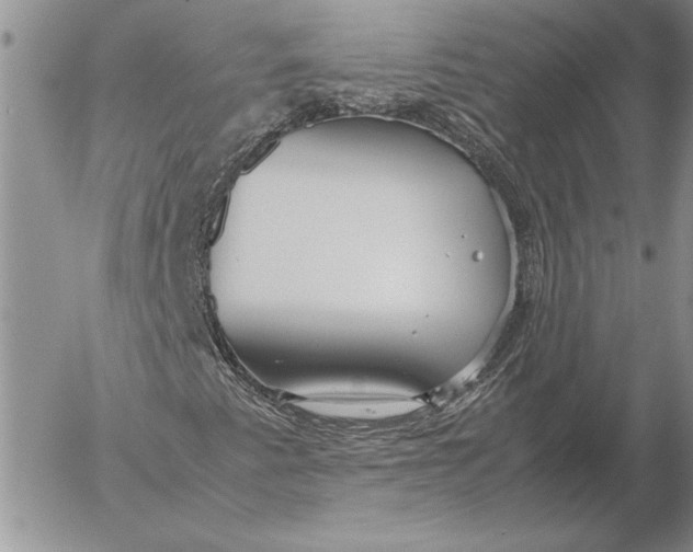 X0000053011345200507291657