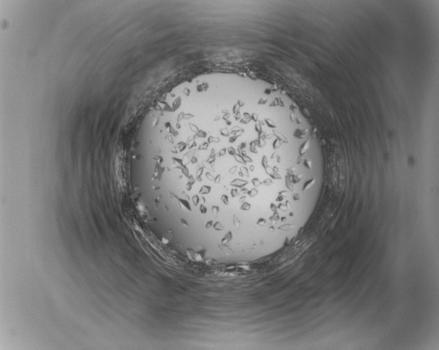 X0000053011346200507291657