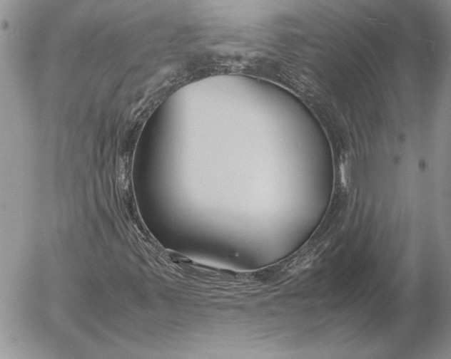 X0000053011347200507291657