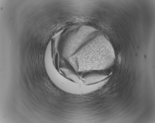 X0000053011348200507291657