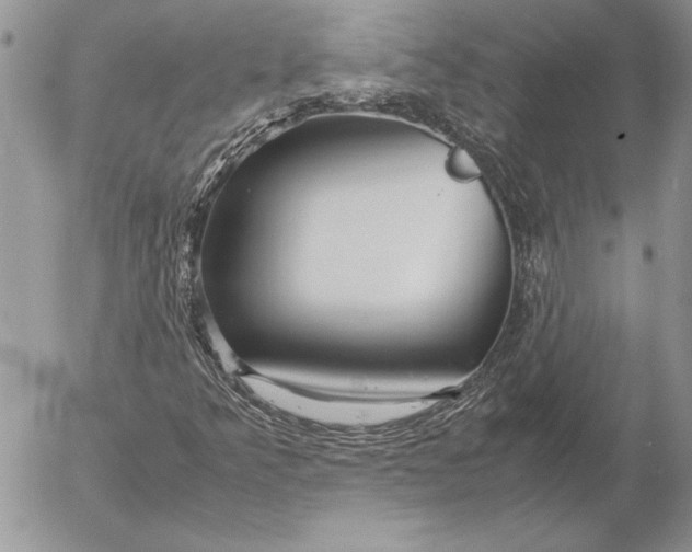 X0000053011349200507291657