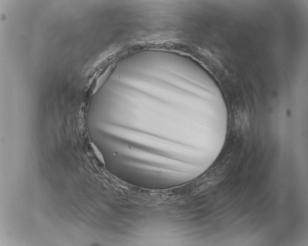 X0000053011350200507291657