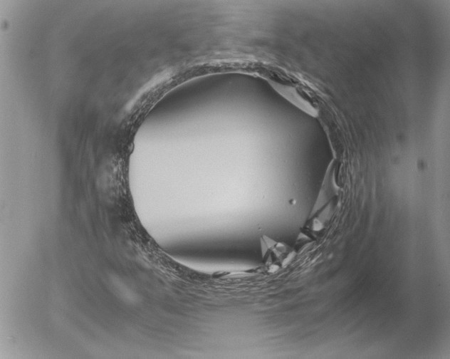 X0000053011351200507291657