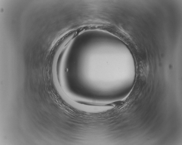 X0000053011352200507291657