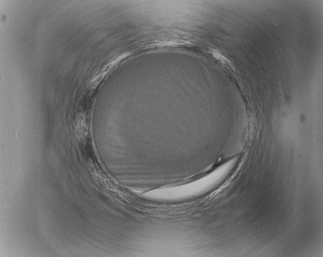 X0000053011353200507291657