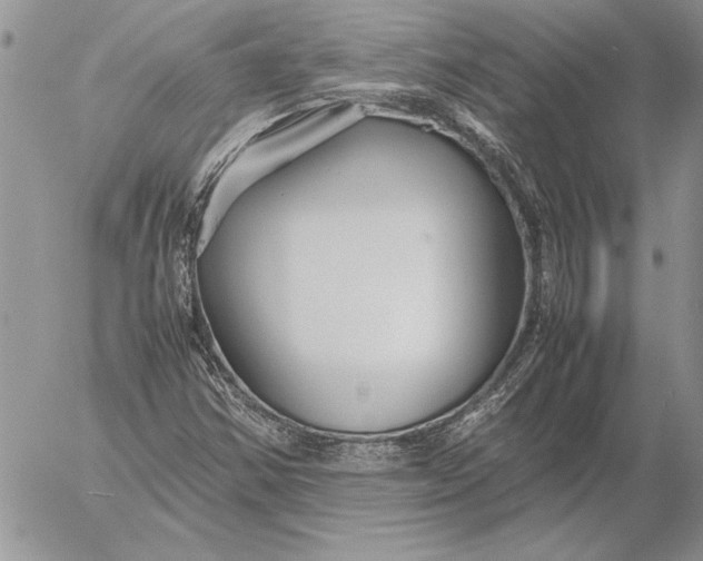 X0000053011354200507291657