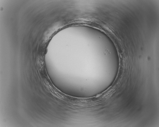 X0000053011355200507291657