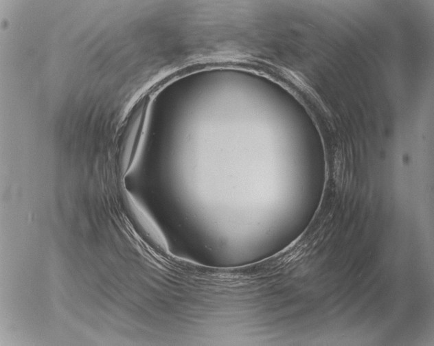 X0000053011356200507291657