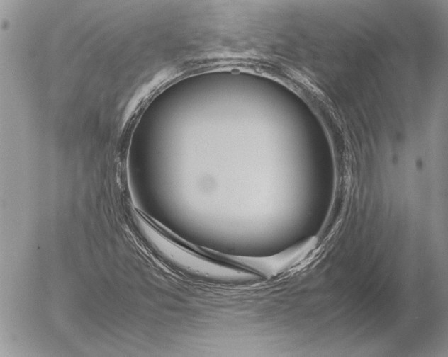 X0000053011357200507291657