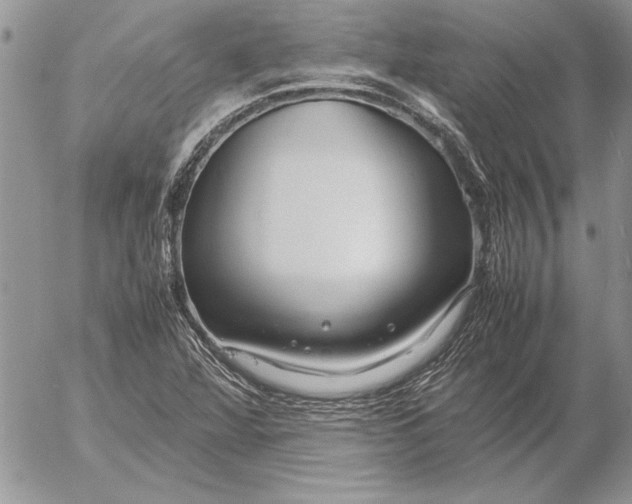 X0000053011360200507291657