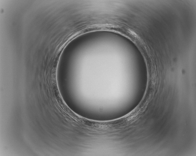 X0000053011361200507291657