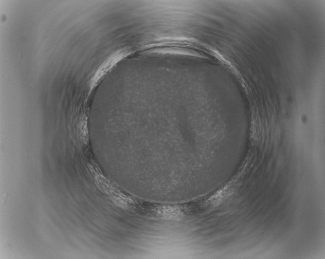 X0000053011362200507291657