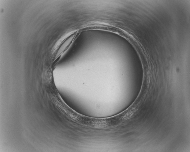 X0000053011363200507291657