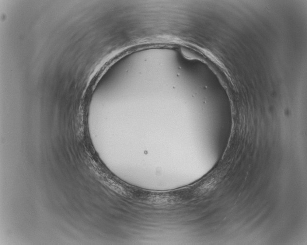 X0000053011364200507291657